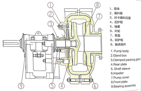 脫硫泵結(jié)構(gòu)圖